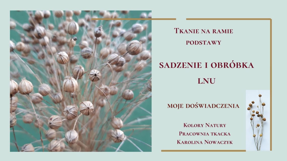 len, obróbka lnu, suszenie lnu